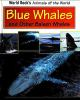 Blue_whales_and_other_baleen_whales