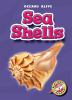 Sea_shells